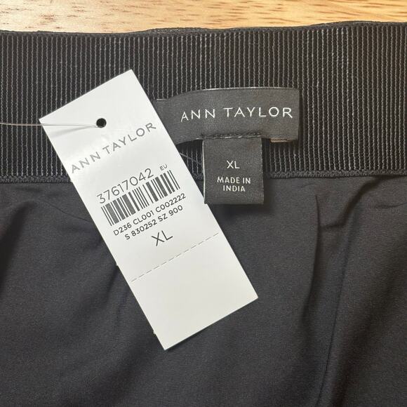 Ann Taylor Sheer Black Skirt  XL Midi Emblished  Lined Elastic band Gothromance - Picture 4 of 9